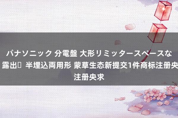 パナソニック 分電盤 大形リミッタースペースなし 露出・半埋込両用形 蒙草生态新提交1件商标注册央求