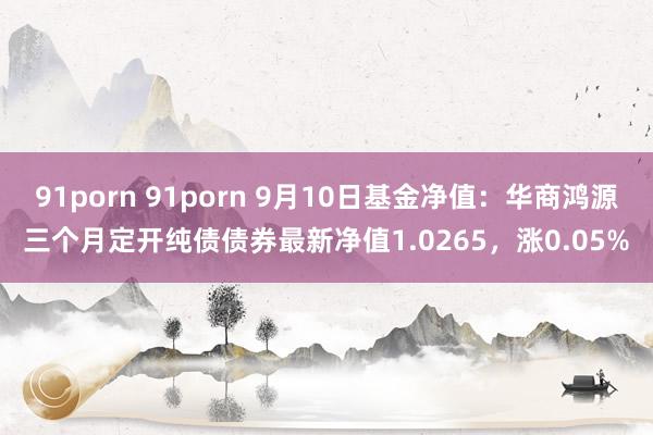 91porn 91porn 9月10日基金净值：华商鸿源三个月定开纯债债券最新净值1.0265，涨0
