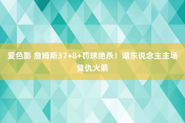 爱色影 詹姆斯37+8+罚球绝杀！湖东说念主主场复仇火箭