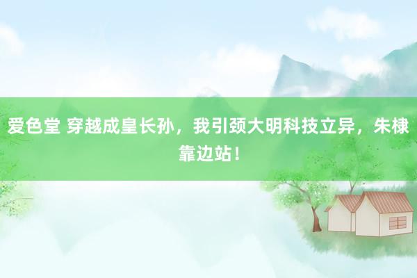 爱色堂 穿越成皇长孙，我引颈大明科技立异，朱棣靠边站！