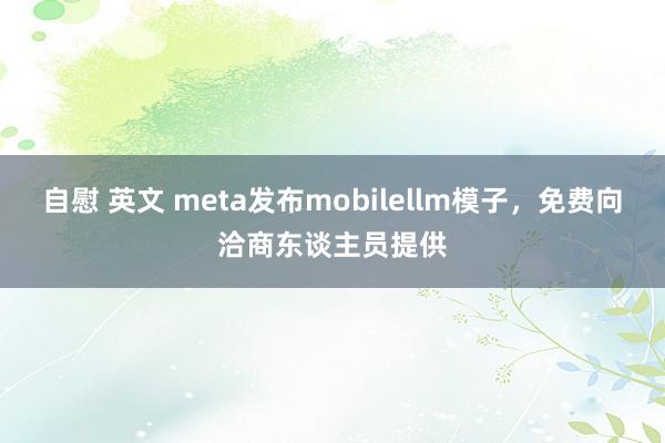 自慰 英文 meta发布mobilellm模子,免费向洽商东谈主员提供