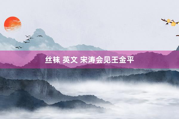 丝袜 英文 宋涛会见王金平