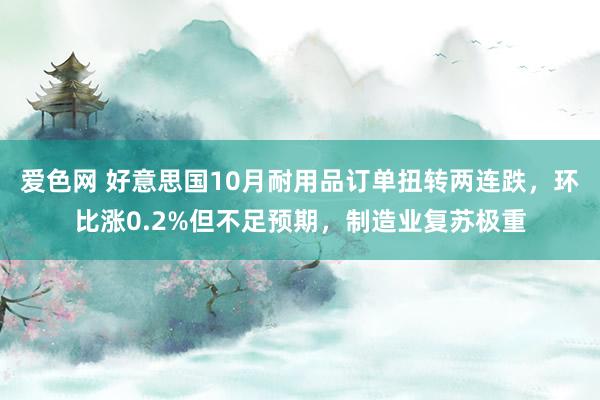 爱色网 好意思国10月耐用品订单扭转两连跌，环比涨0.2%但不足预期，制造业复苏极重