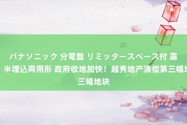 パナソニック 分電盤 リミッタースペース付 露出・半埋込両用形 政府收地加快！越秀地产清偿第三幅地块