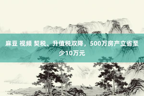 麻豆 视频 契税、升值税双降，500万房产立省至少10万元