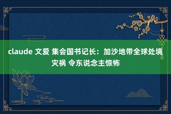 claude 文爱 集会国书记长：加沙地带全球处境灾祸 令东说念主惊怖