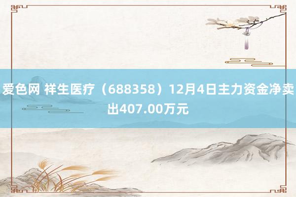 爱色网 祥生医疗（688358）12月4日主力资金净卖出407.00万元