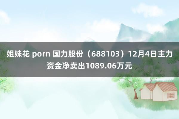 姐妹花 porn 国力股份（688103）12月4日主力资金净卖出1089.06万元