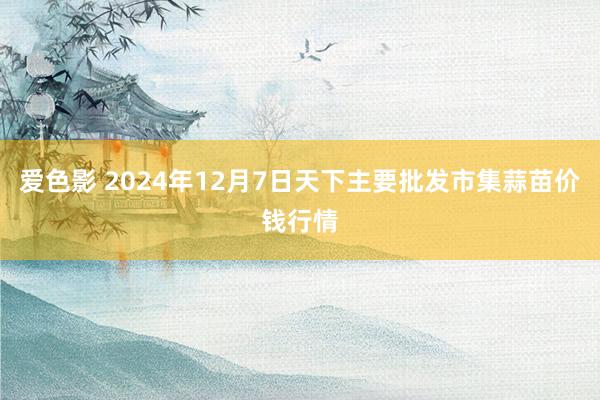 爱色影 2024年12月7日天下主要批发市集蒜苗价钱行情