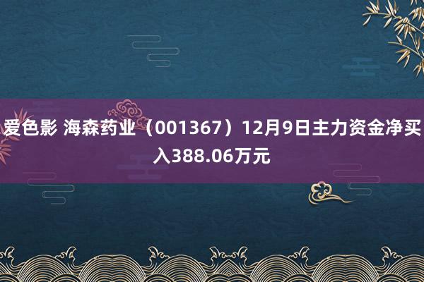 爱色影 海森药业（001367）12月9日主力资金净买入388.06万元