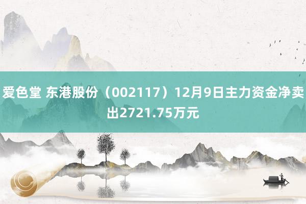 爱色堂 东港股份（002117）12月9日主力资金净卖出2721.75万元