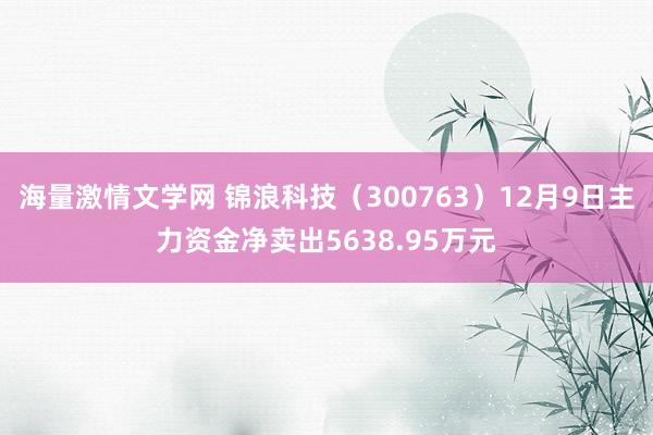 海量激情文学网 锦浪科技（300763）12月9日主力资金净卖出5638.95万元