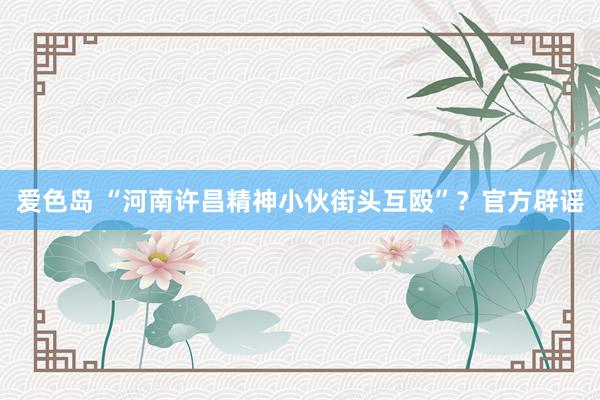爱色岛 “河南许昌精神小伙街头互殴”？官方辟谣