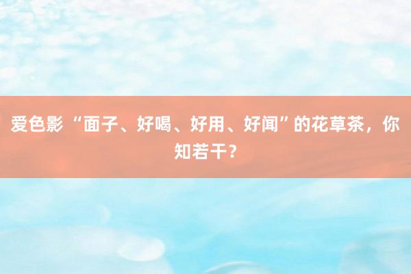 爱色影 “面子、好喝、好用、好闻”的花草茶，你知若干？