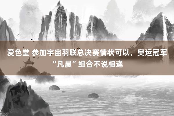 爱色堂 参加宇宙羽联总决赛情状可以，奥运冠军“凡晨”组合不说相逢