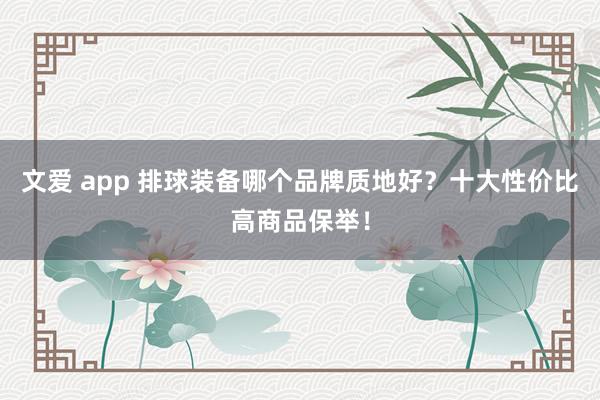 文爱 app 排球装备哪个品牌质地好？十大性价比高商品保举！