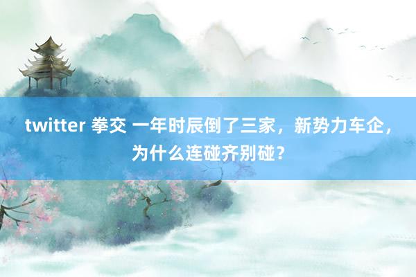 twitter 拳交 一年时辰倒了三家，新势力车企，为什么连碰齐别碰？