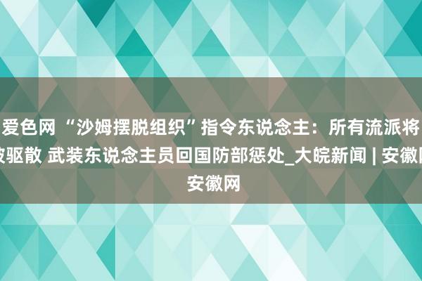 爱色网 “沙姆摆脱组织”指令东说念主：所有流派将被驱散 武装东说念主员回国防部惩处_大皖新闻 | 安