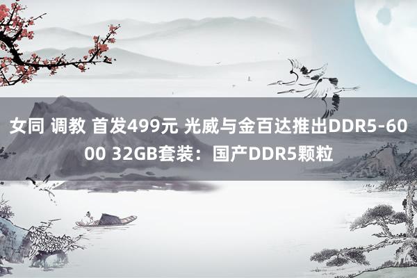 女同 调教 首发499元 光威与金百达推出DDR5-6000 32GB套装：国产DDR5颗粒