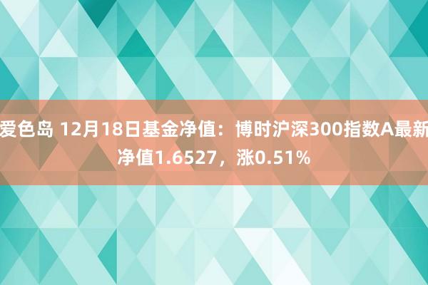 爱色岛 12月18日基金净值：博时沪深300指数A最新净值1.6527，涨0.51%