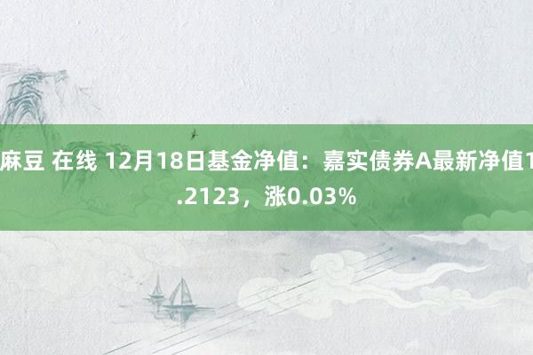 麻豆 在线 12月18日基金净值：嘉实债券A最新净值1.2123，涨0.03%