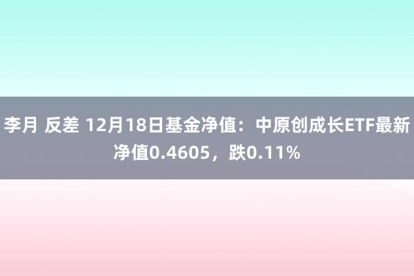 李月 反差 12月18日基金净值：中原创成长ETF最新净值0.4605，跌0.11%