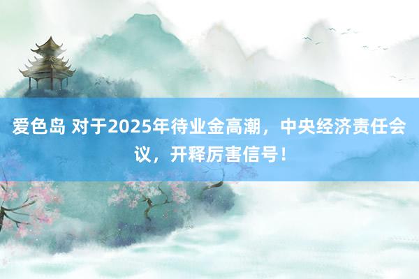 爱色岛 对于2025年待业金高潮，中央经济责任会议，开释厉害信号！
