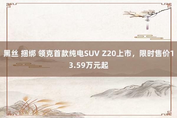 黑丝 捆绑 领克首款纯电SUV Z20上市，限时售价13.59万元起