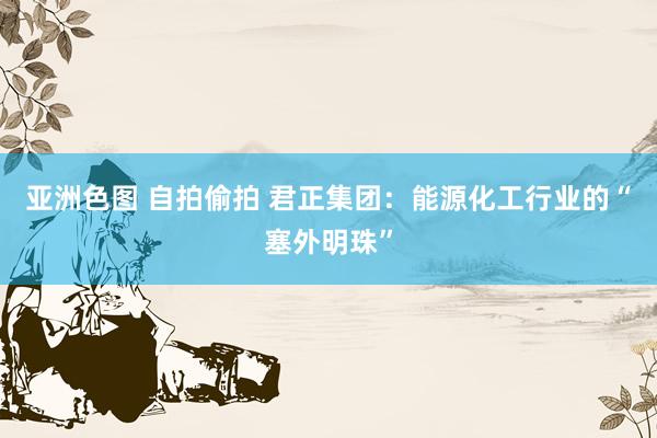 亚洲色图 自拍偷拍 君正集团：能源化工行业的“塞外明珠”