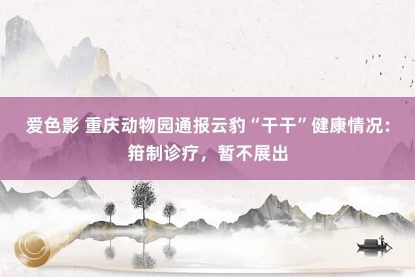 爱色影 重庆动物园通报云豹“干干”健康情况：箝制诊疗，暂不展出