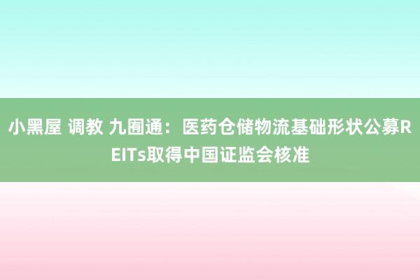 小黑屋 调教 九囿通：医药仓储物流基础形状公募REITs取得中国证监会核准