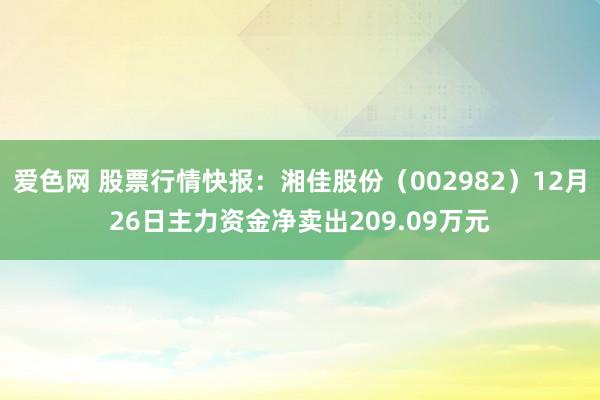 爱色网 股票行情快报：湘佳股份（002982）12月26日主力资金净卖出209.09万元