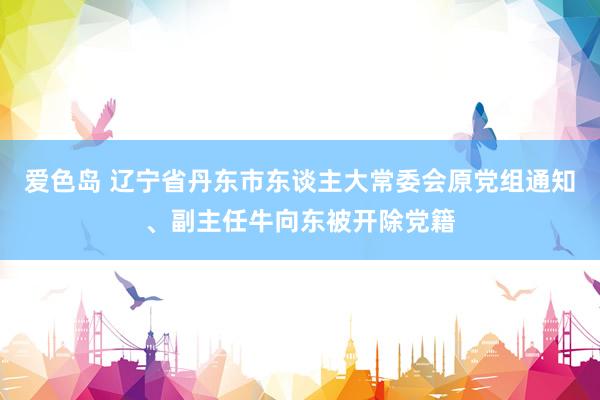 爱色岛 辽宁省丹东市东谈主大常委会原党组通知、副主任牛向东被开除党籍
