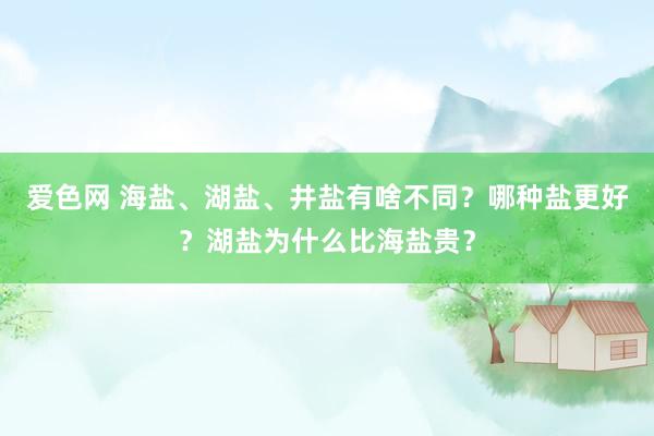 爱色网 海盐、湖盐、井盐有啥不同？哪种盐更好？湖盐为什么比海盐贵？