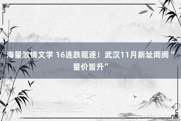 海量激情文学 16连跌驱逐！武汉11月新址阛阓“量价皆升”