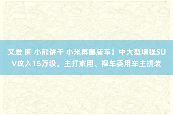 文爱 胸 小熊饼干 小米再曝新车！中大型增程SUV攻入15万级，主打家用、裸车委用车主拼装