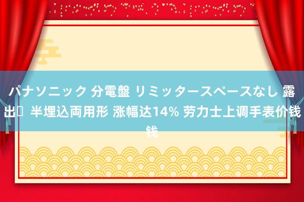 パナソニック 分電盤 リミッタースペースなし 露出・半埋込両用形 涨幅达14% 劳力士上调手表价钱