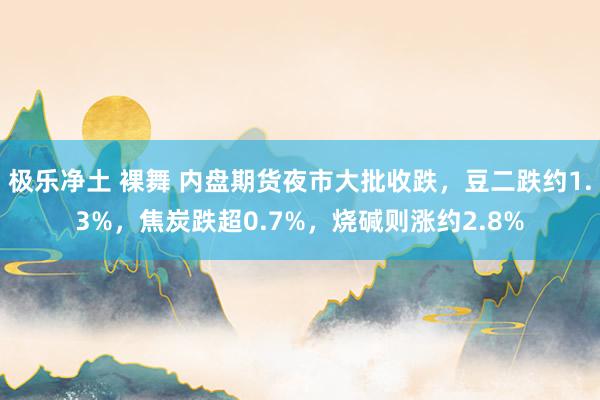 极乐净土 裸舞 内盘期货夜市大批收跌，豆二跌约1.3%，焦炭跌超0.7%，烧碱则涨约2.8%