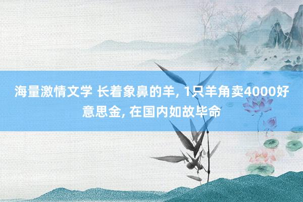 海量激情文学 长着象鼻的羊, 1只羊角卖4000好意思金, 在国内如故毕命