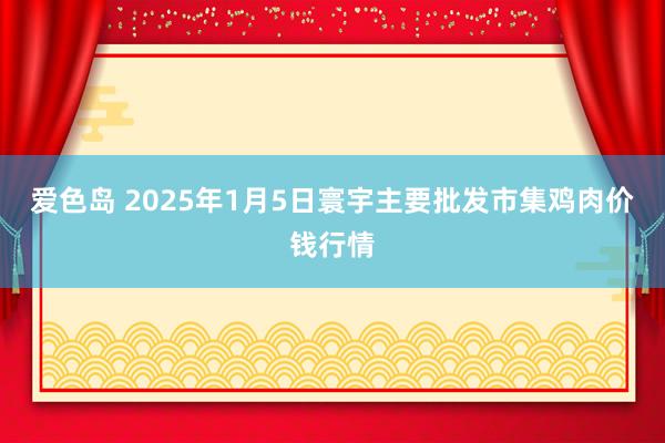 爱色岛 2025年1月5日寰宇主要批发市集鸡肉价钱行情
