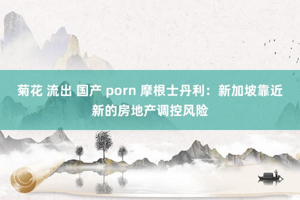 菊花 流出 国产 porn 摩根士丹利：新加坡靠近新的房地产调控风险