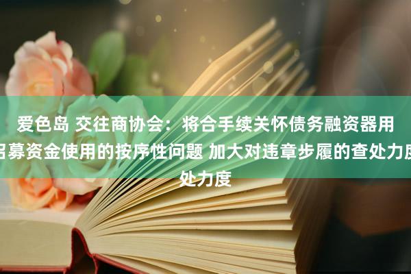爱色岛 交往商协会：将合手续关怀债务融资器用召募资金使用的按序性问题 加大对违章步履的查处力度