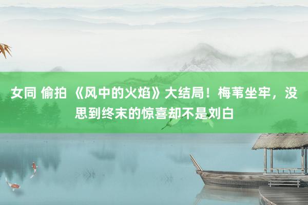 女同 偷拍 《风中的火焰》大结局！梅苇坐牢，没思到终末的惊喜却不是刘白