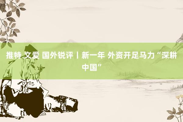 推特 文爱 国外锐评丨新一年 外资开足马力“深耕中国”