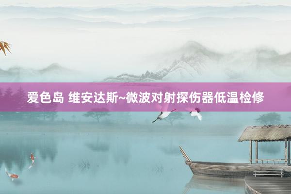 爱色岛 维安达斯~微波对射探伤器低温检修