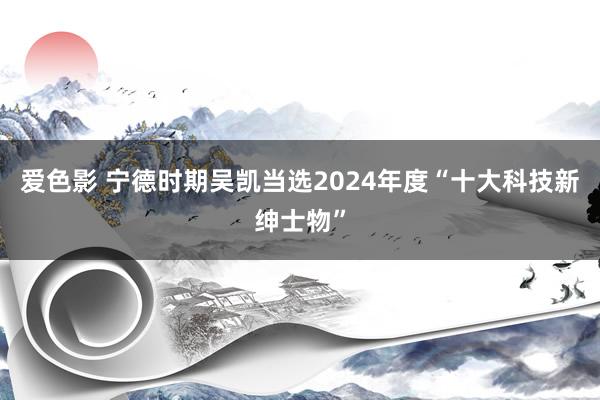 爱色影 宁德时期吴凯当选2024年度“十大科技新绅士物”