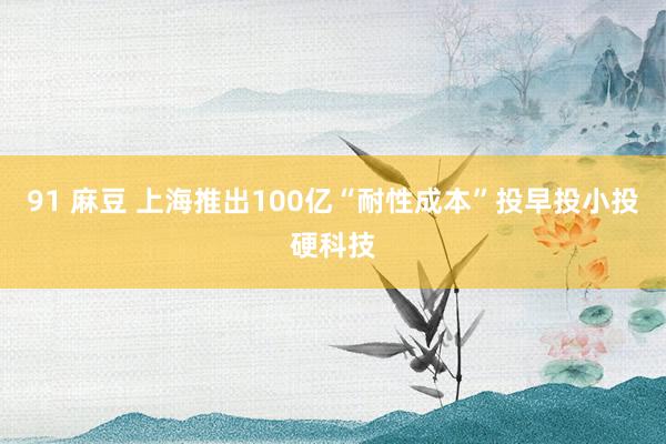 91 麻豆 上海推出100亿“耐性成本”投早投小投硬科技