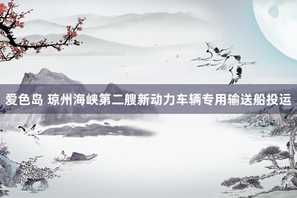 爱色岛 琼州海峡第二艘新动力车辆专用输送船投运