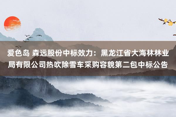 爱色岛 森远股份中标效力：黑龙江省大海林林业局有限公司热吹除雪车采购容貌第二包中标公告