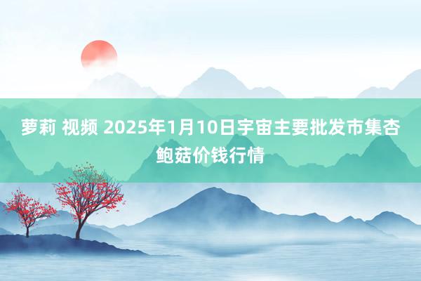 萝莉 视频 2025年1月10日宇宙主要批发市集杏鲍菇价钱行情